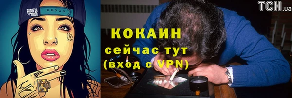 стафф Медногорск