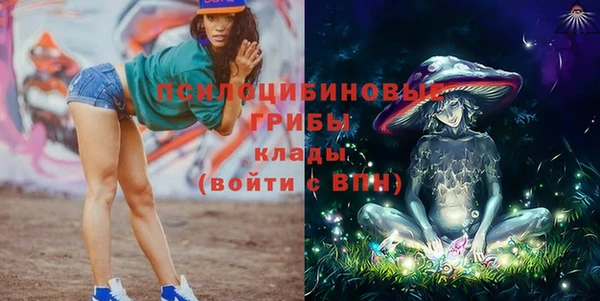 мескалин Медвежьегорск