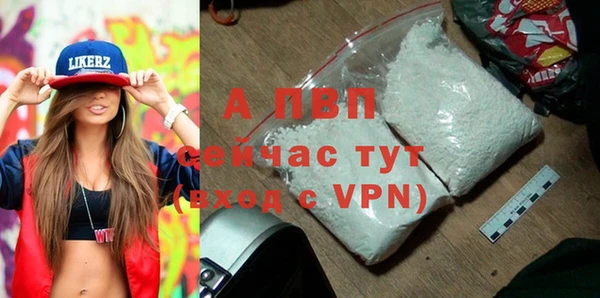 стафф Медногорск