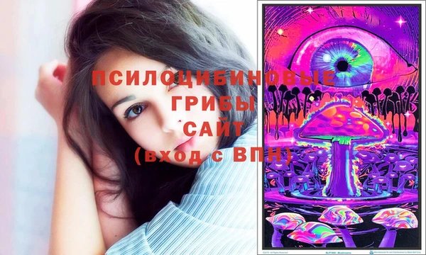 стафф Медногорск