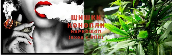 стафф Медногорск