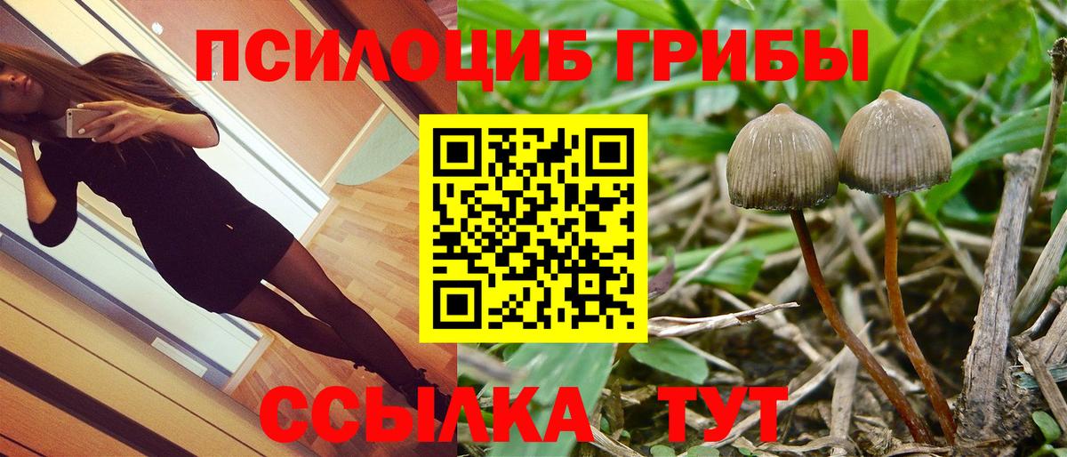 Галлюциногенные грибы ЛСД Каменск-Уральский
